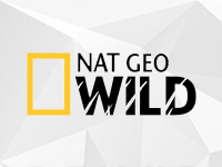 NET GEO WILD HD