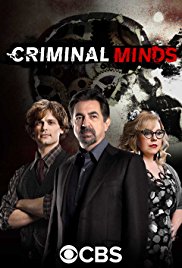 Criminal Minds Season 13 ทีมแกร่งเด็ดขั้วอาชญากรรม [พากษ์ไทย]