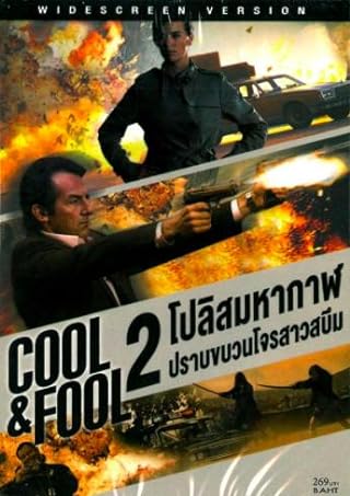 Cool & Fool (2011) โปลิศ มหากาฬปราบขบวนโจรสาวสบึม