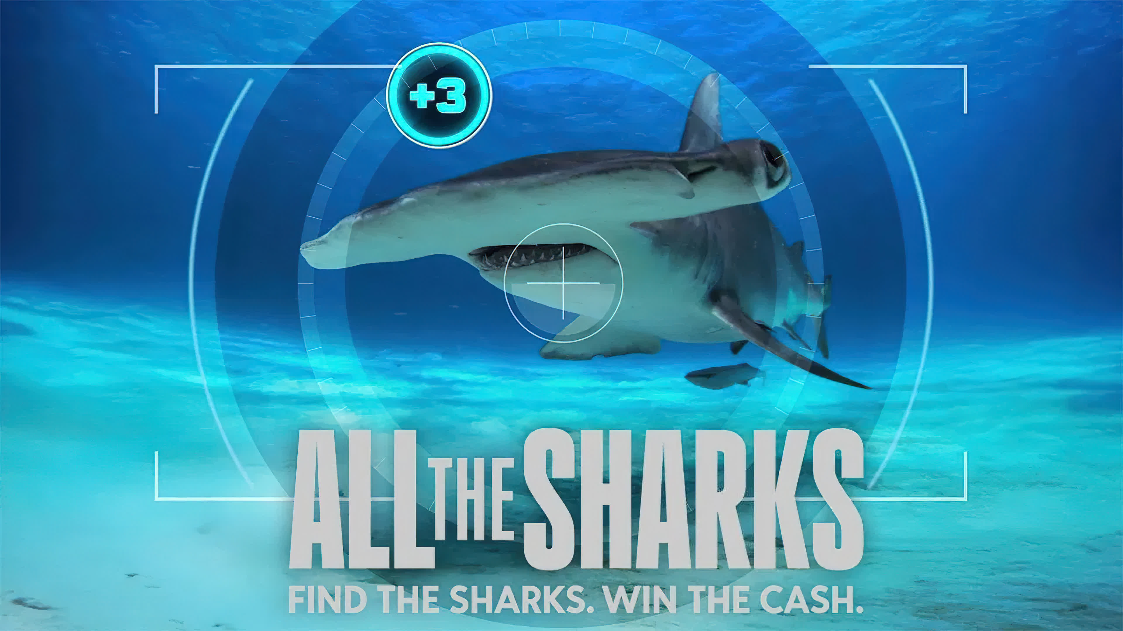 All the Sharks Season 1 (2025) เกมล่าหาฉลาม