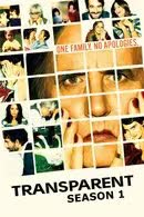 Transparent Season 1 (2014)