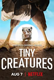 Tiny Creatures Season 1 (2020) ส่องโลกสัตว์เล็ก