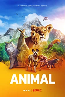 Animal Season 2 (2022) สัตว์มหัศจรรย์