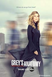 Greys Anatomy Season 16 (2019)