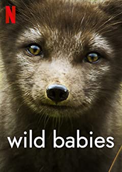 Wild Babies Season 1 (2022) เกิดในป่า