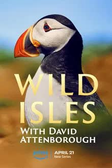 Wild Isles Season 1 (2023)