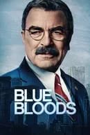 Blue Bloods Season 14 (2024) บลูบลัดส์ สายเลือดผู้พิทักษ์ ตอน 5