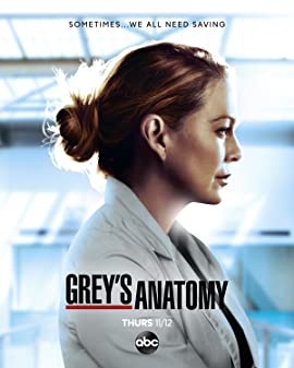 Greys Anatomy Season 17 (2020)