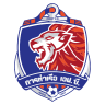 team logo
